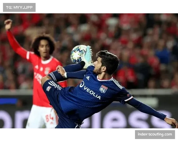 本菲卡边锋布鲁马十字韧带受伤 预计缺阵数月影响球队进攻深度